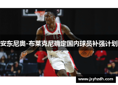安东尼奥-布莱克尼确定国内球员补强计划